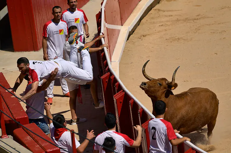 0b3e688d0e76daa683c80a83023b1a3d