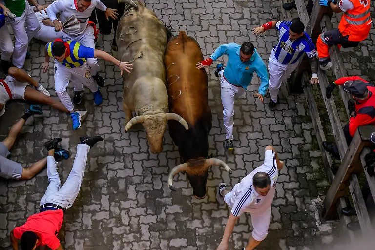 ee47f4149e4855afeb30b80ef49eebc3