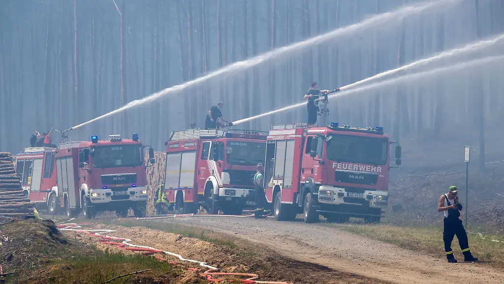Feuerwehrleute-loeschen-einen-Waldbrand