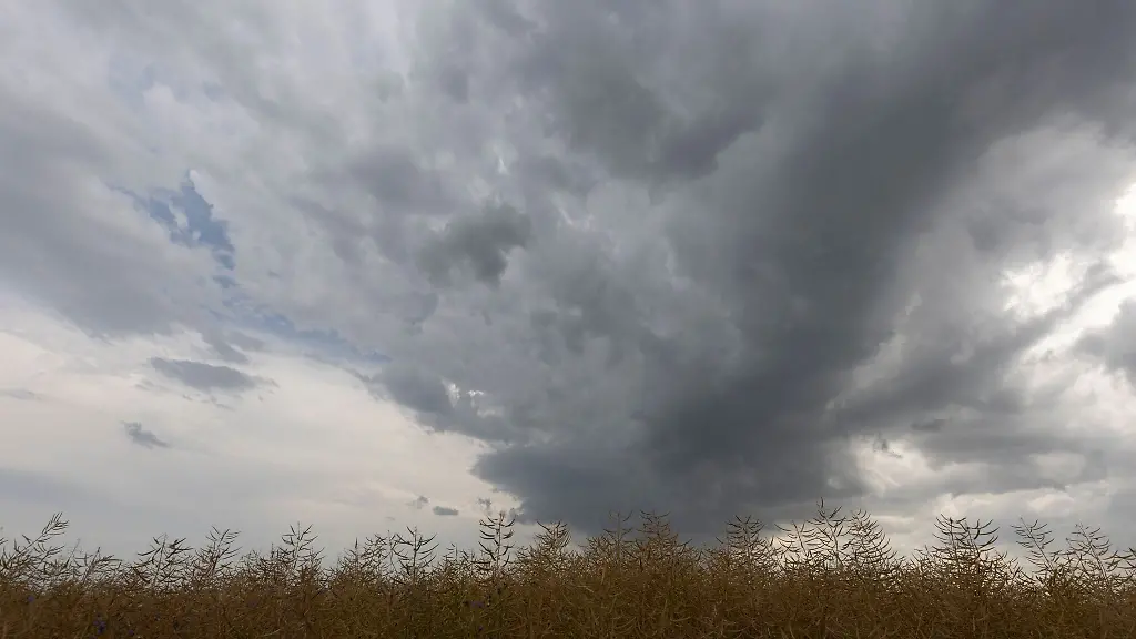 Ein-Gewitter-zieht-auf-ueber-einem-Feld-in-Mainz-Laubenheim