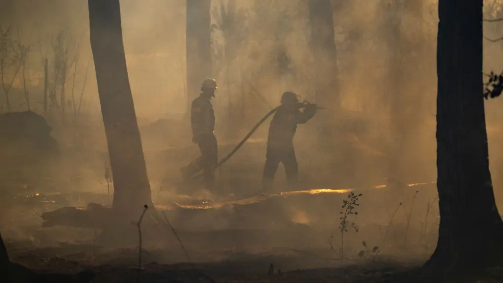 Feuerwehrleute-bekaempfen-einen-Waldbrand