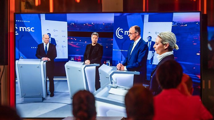 Streit gab es vor allem in der Steuerpolitik und beim Thema Ukraine. Habeck warf Weidel vor, sie plane "die Unterwerfung unter Putin".