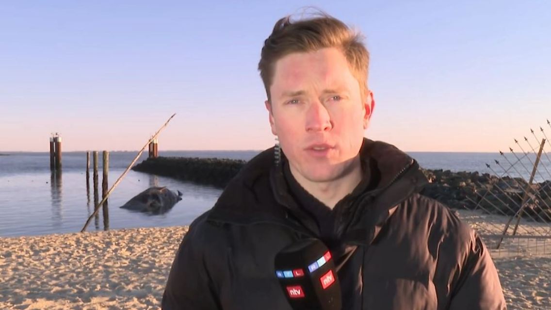 Sylt_Wal.JPG