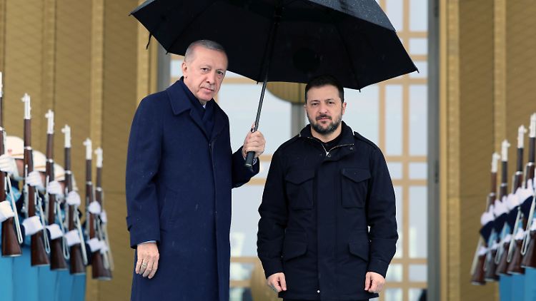 Der türkische Präsident Erdogan will Selenskyj während ihres Treffens im Präsidentenpalast in Ankara nicht im Regen stehen lassen. 