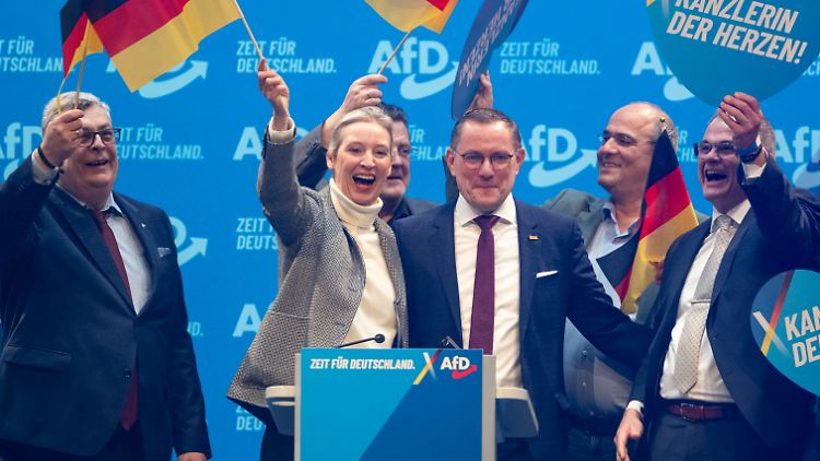Der Bundesvorstand der AfD bei einer Wahlveranstaltung. 