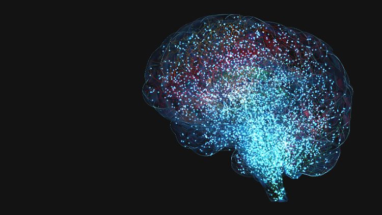 Neuronen sind spezialisierte Zellen im Nervensystem, die elektrische Signale übertragen und Informationen verarbeiten. Sie spielen eine entscheidende Rolle in der Kommunikation zwischen dem Gehirn und dem restlichen Körper.