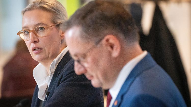 Die AfD bestreitet, von der mutmaßlichen Strohmann-Konstruktion gewusst zu haben.