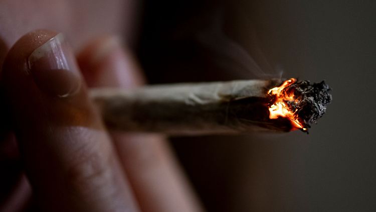 Die Cannabis-Freigabe ist der Union ein Dorn im Auge.