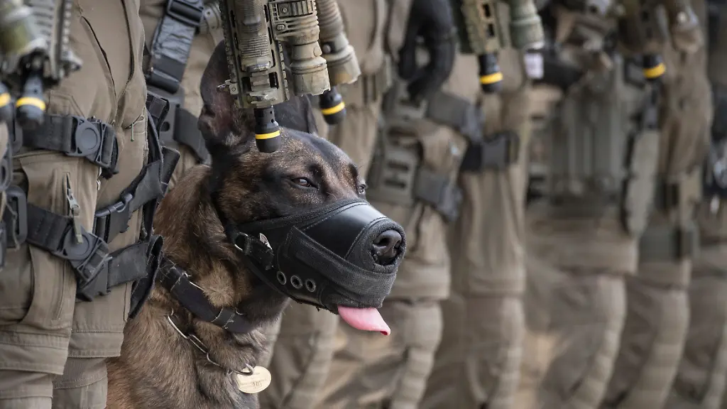 In-den-fruehen-Morgenstunden-haben-Elitepolizisten-der-GSG-9-eine-Razzia-durchgefuehrt