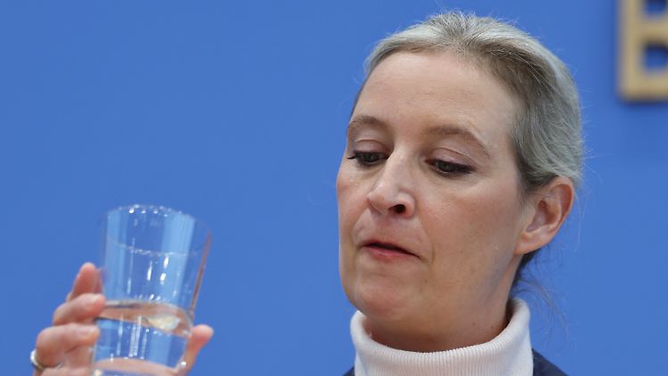 Alice Weidel hat große Pläne mit der AfD.