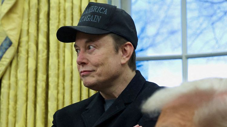 Elon Musk bekommt in seinem Vorhaben Unterstützung vom US-Präsidenten.