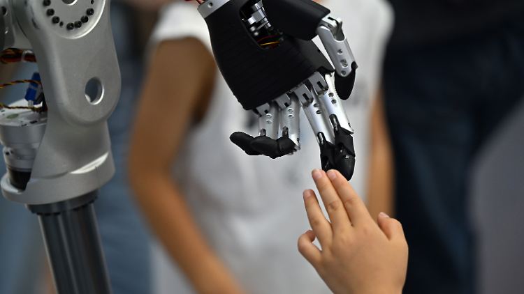 Roboter, die große Haushaltshilfe?