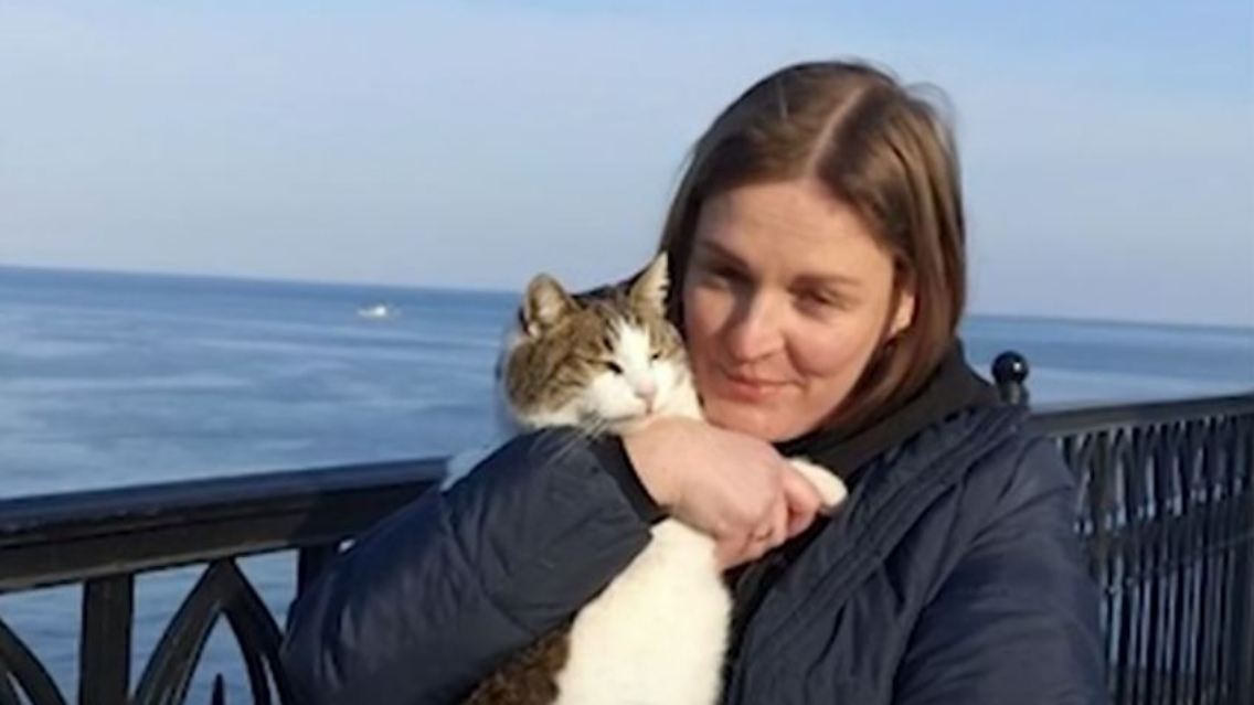 katze.JPG
