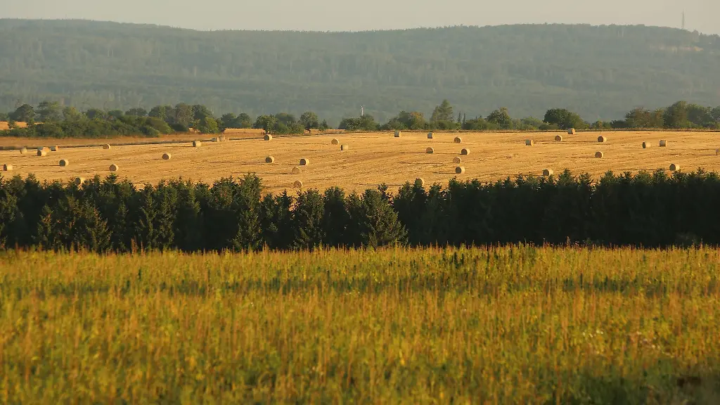 Strohballen-liegen-auf-einem-Feld
