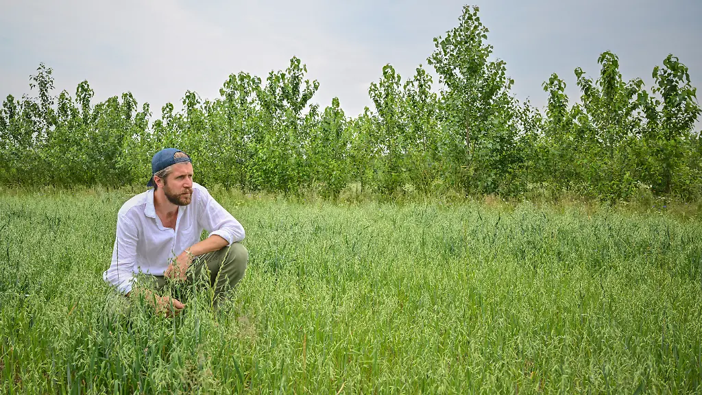 urn-binary-dpa-com-20090101-230630-99-245696-FILED