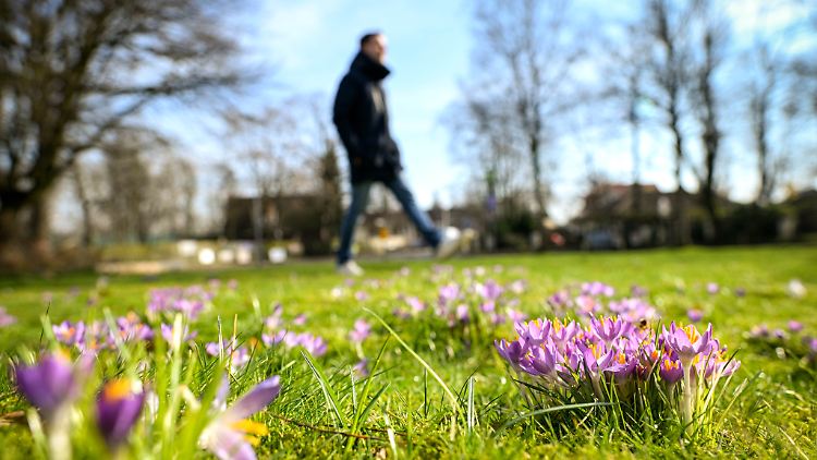 Die Prognosen gehen für den gesamten Monat März von einem Temperaturüberschuss um die 2 Grad oder mehr aus.