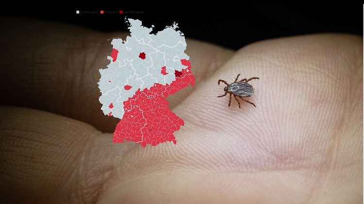 Das Robert-Koch-Institut hat drei neue Landkreise zu seiner Liste der FSME-Risikogebiete hinzugefügt. 