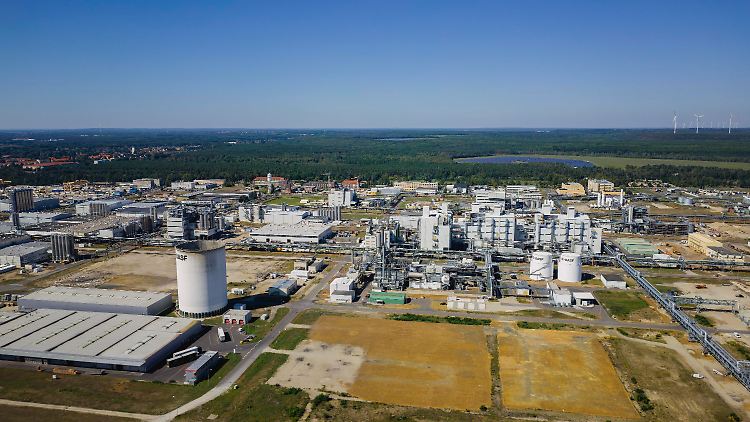 Im brandenburgischen Schwarzheide produziert BASF Batteriematerialien.