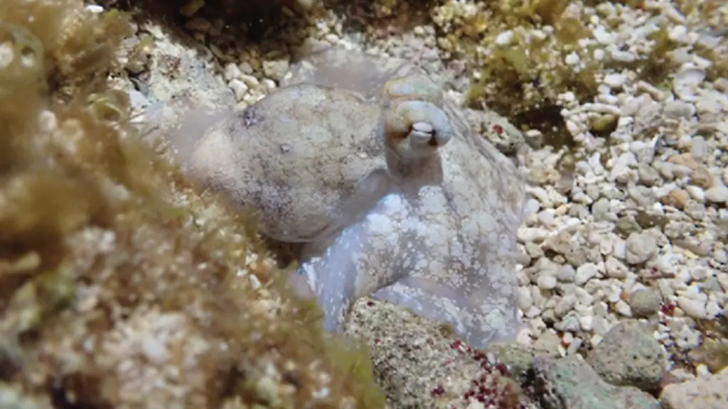 ACHTUNG-Frei-nur-im-Zusammenhang-mit-der-Berichterstattung-ueber-die-Studie