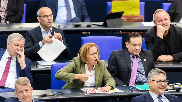 Die AfD-Fraktion liegt bei den kassierten Ordnungsrufen im Bundestag vorn. 