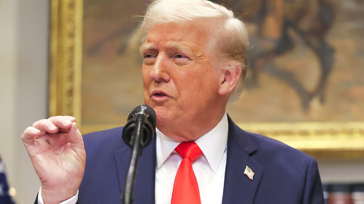 Trump begründet die Strafzölle damit, dass Kanada, China und Mexiko nicht genug gegen den Schmuggel der Droge Fentanyl unternähmen.
