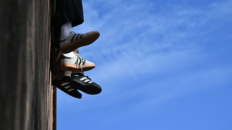 Adidas verdreifacht die Dividende.