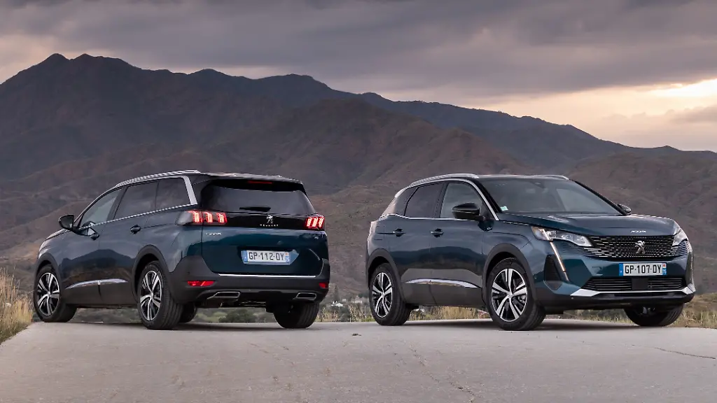 Peugeot-3008-5008-Doppel