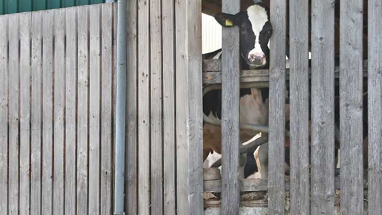 Eine Tierschutzorganisation hat die bayerische Kontrollbehörde alarmiert. 
