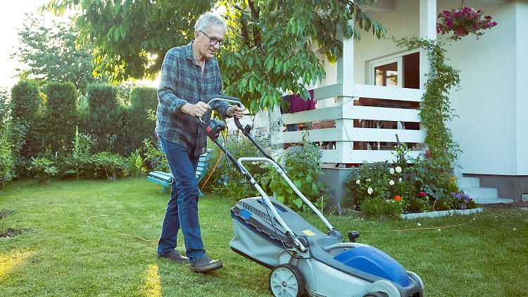 Für einen schönen und dichten Rasen kommt es auf die richtige Pflege an.