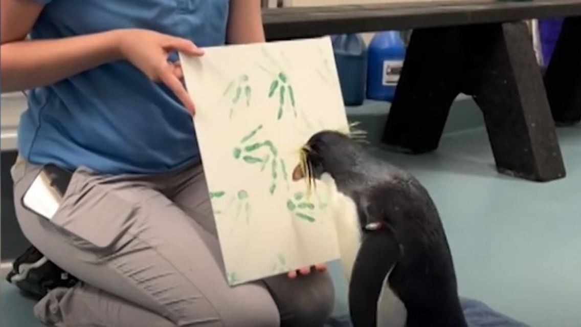 pinguikn.JPG