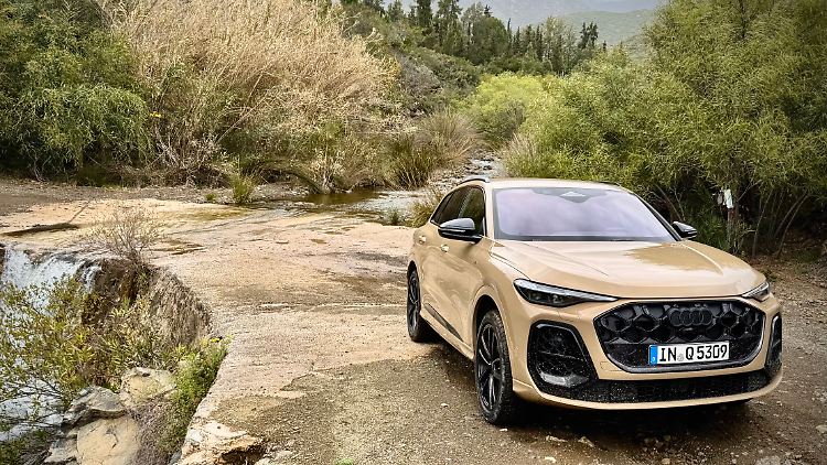 Ein bisschen großmäulig kommt der Audi Q5 ja schon daher. Das optional schwarze Audi-Emblem unterstreicht die Sportlichkeit des Modells.