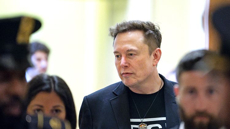 Elon Musk nannte Polens Außenminister Radoslaw Sikorski einen "kleinen Mann".