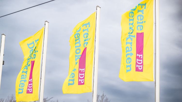Die FDP wird nicht für die Grünen einspringen.