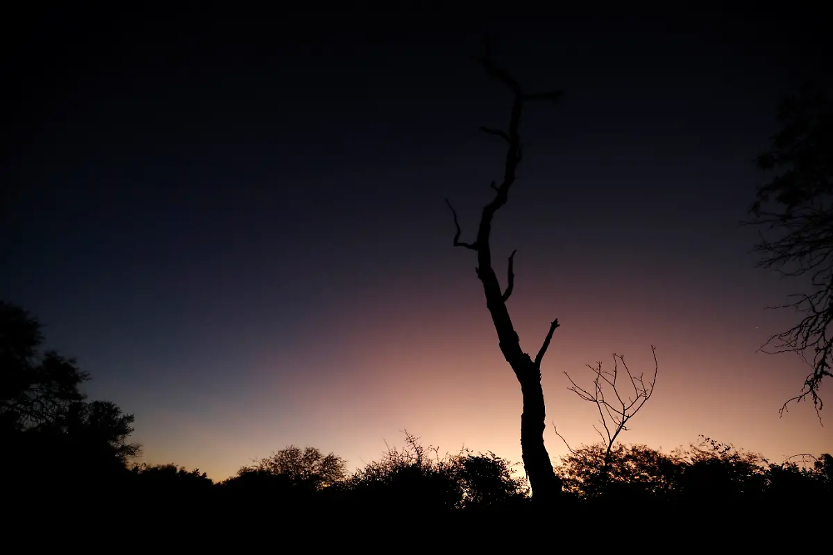 2023-05-15T112137Z-2090941539-RC2KI0A7WI3S-RTRMADP-3-ARGENTINA-ENVIRONMENT-CHACO