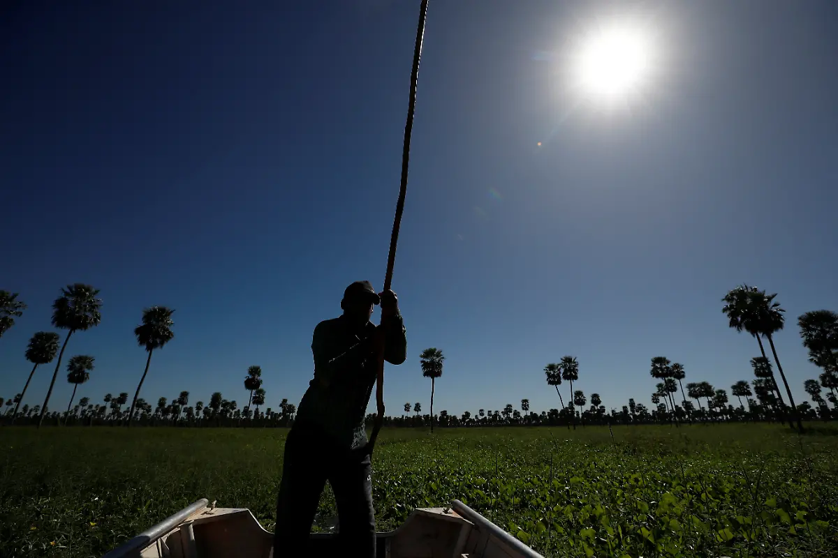 2023-05-15T112136Z-111412907-RC2CI0AXFGNY-RTRMADP-3-ARGENTINA-ENVIRONMENT-CHACO