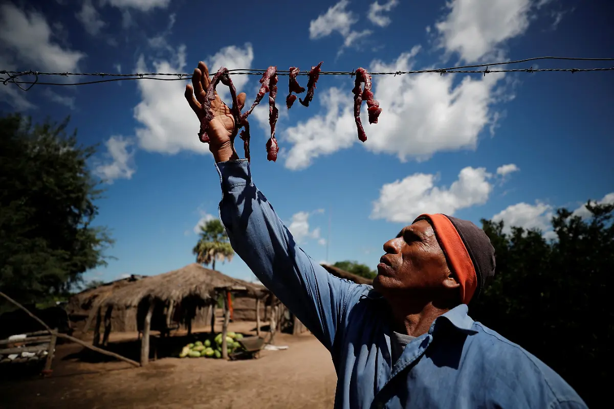 2023-05-15T112139Z-1708496437-RC2QH0A3RPWE-RTRMADP-3-ARGENTINA-ENVIRONMENT-CHACO