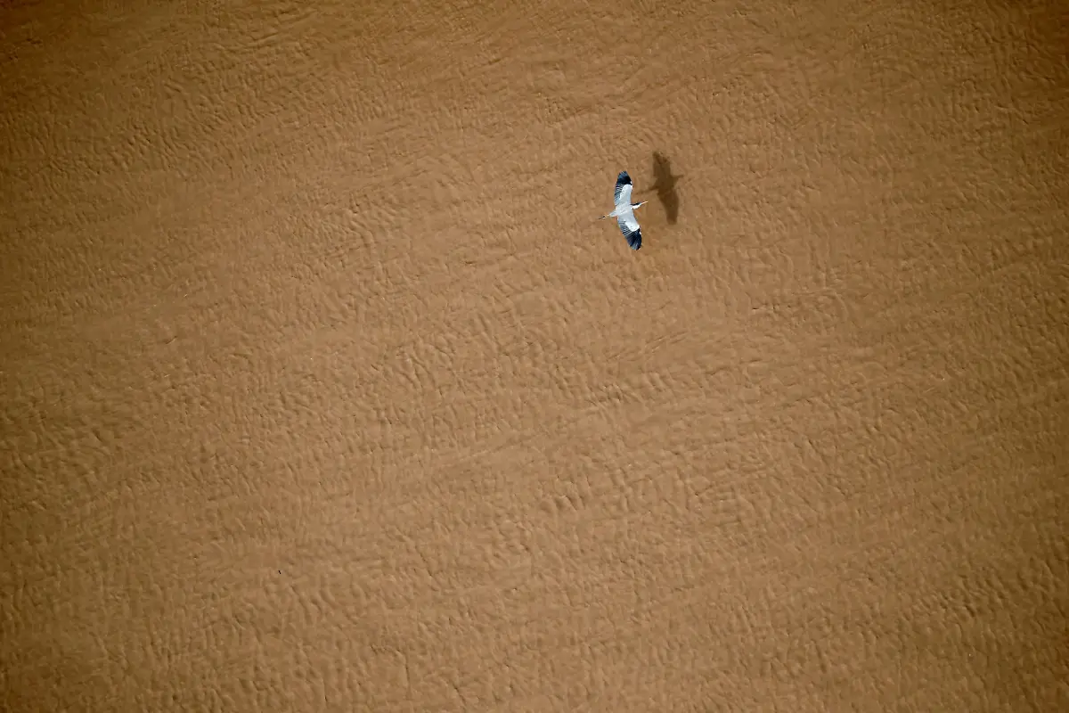 2023-05-15T112145Z-2087263381-RC2ZG0A4N3CP-RTRMADP-3-ARGENTINA-ENVIRONMENT-CHACO