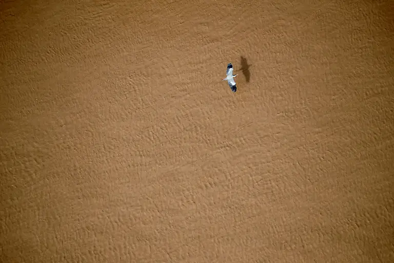 2023-05-15T112145Z-2087263381-RC2ZG0A4N3CP-RTRMADP-3-ARGENTINA-ENVIRONMENT-CHACO