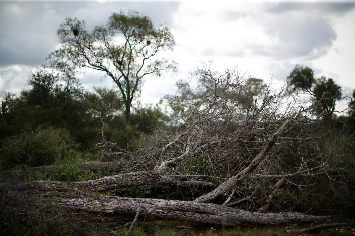 2023-05-15T112159Z-1148922112-RC25H0A7NXWQ-RTRMADP-3-ARGENTINA-ENVIRONMENT-CHACO