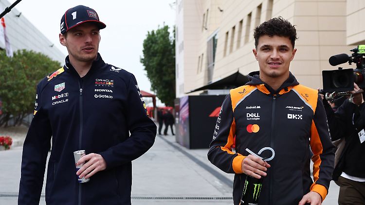 Der eine ist Weltmeister, der andere möchte es werden: Max Verstappen und Lando Norris. 