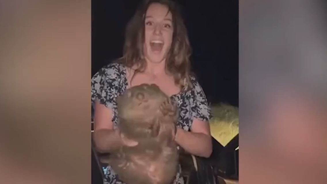 wombat02.jpg