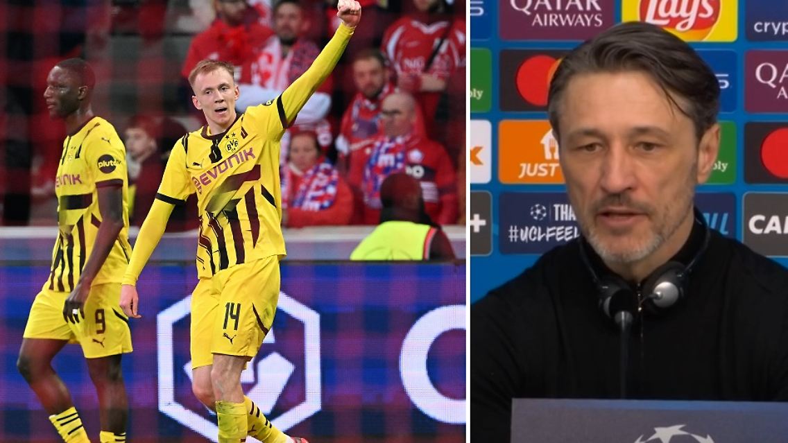 bvb-lob.jpg