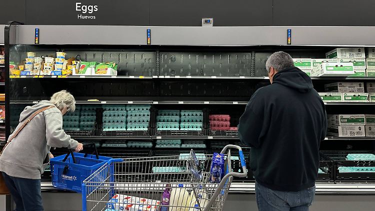 Die Vogelgrippe H5N1 ist derzeit bei Wildvögeln auf der ganzen Welt verbreitet. In den USA führte das Virus zu Ausbrüchen in Geflügel- und Milchbetrieben.