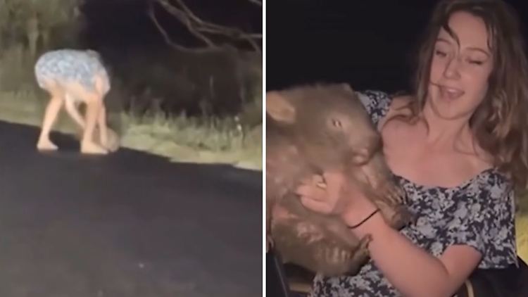 Wombatbaby.jpg