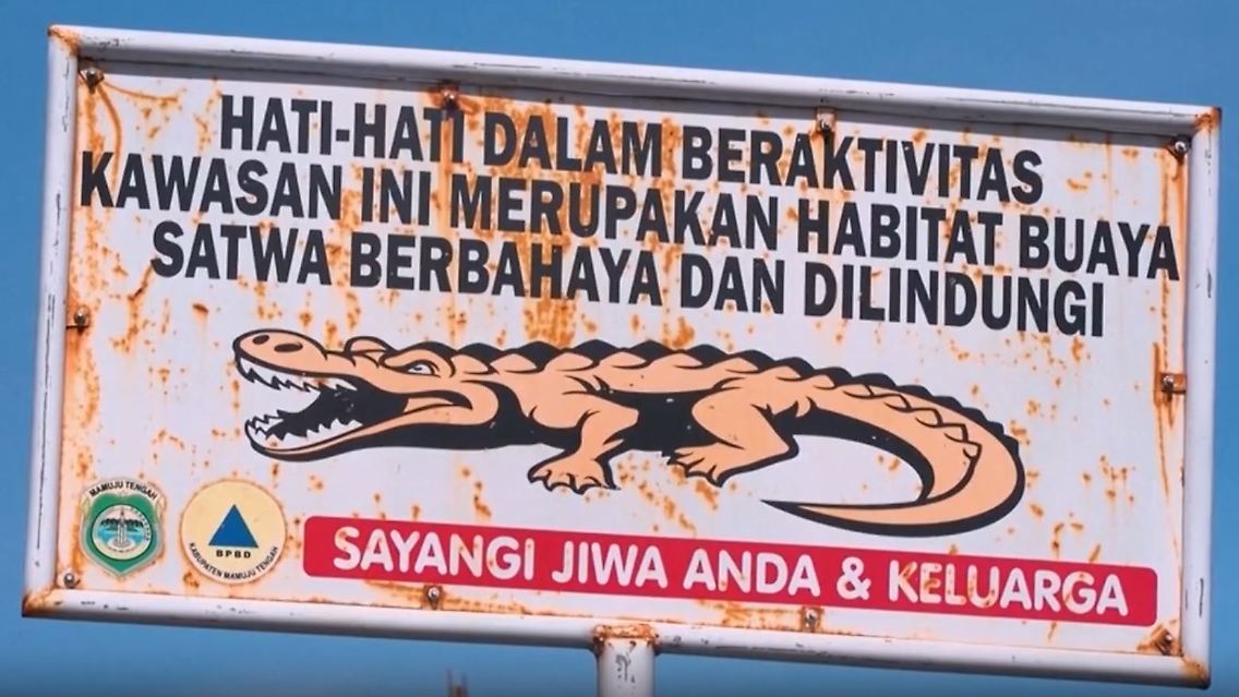 krokodile.JPG