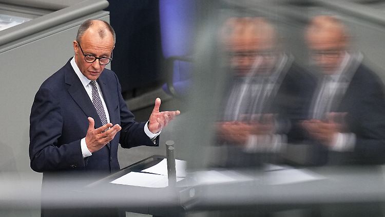 Merz braucht das freiwerdende Geld, um Lücken im Haushalt 2025 zu stopfen - er verspricht aber auch Reformen und Einsparungen im regulären Haushalt. 