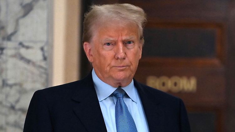 Trump hält offenkundig wenig vom Prinzip der Gewaltenteilung.