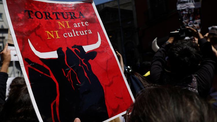 "Folter - keine Kunst, keine Kultur", ist das Motto der Tierrechtsaktivisten.