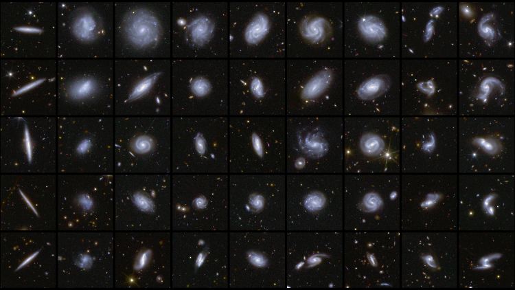 "Euclids" Bilder zeigen Galaxien mit verschiedenen Formen.