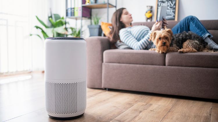 Mit diesen drei Luftreinigern können auch Allergiker wieder etwas entspannen.